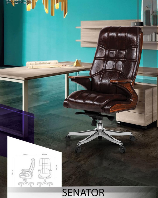 صندلی سناتور